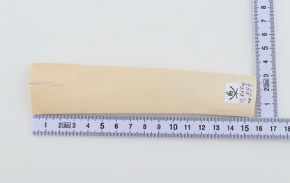 White mammoth ivory segment