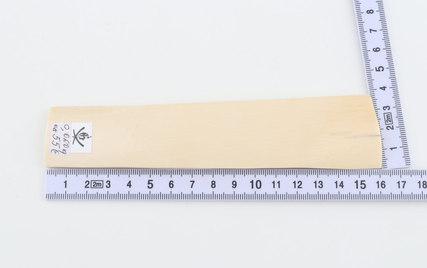 White mammoth ivory segment