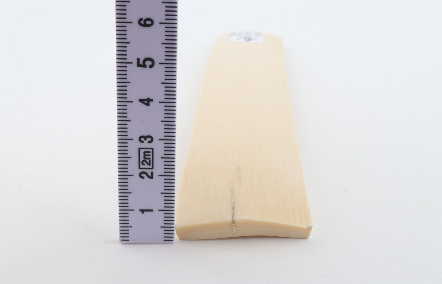 White mammoth ivory segment