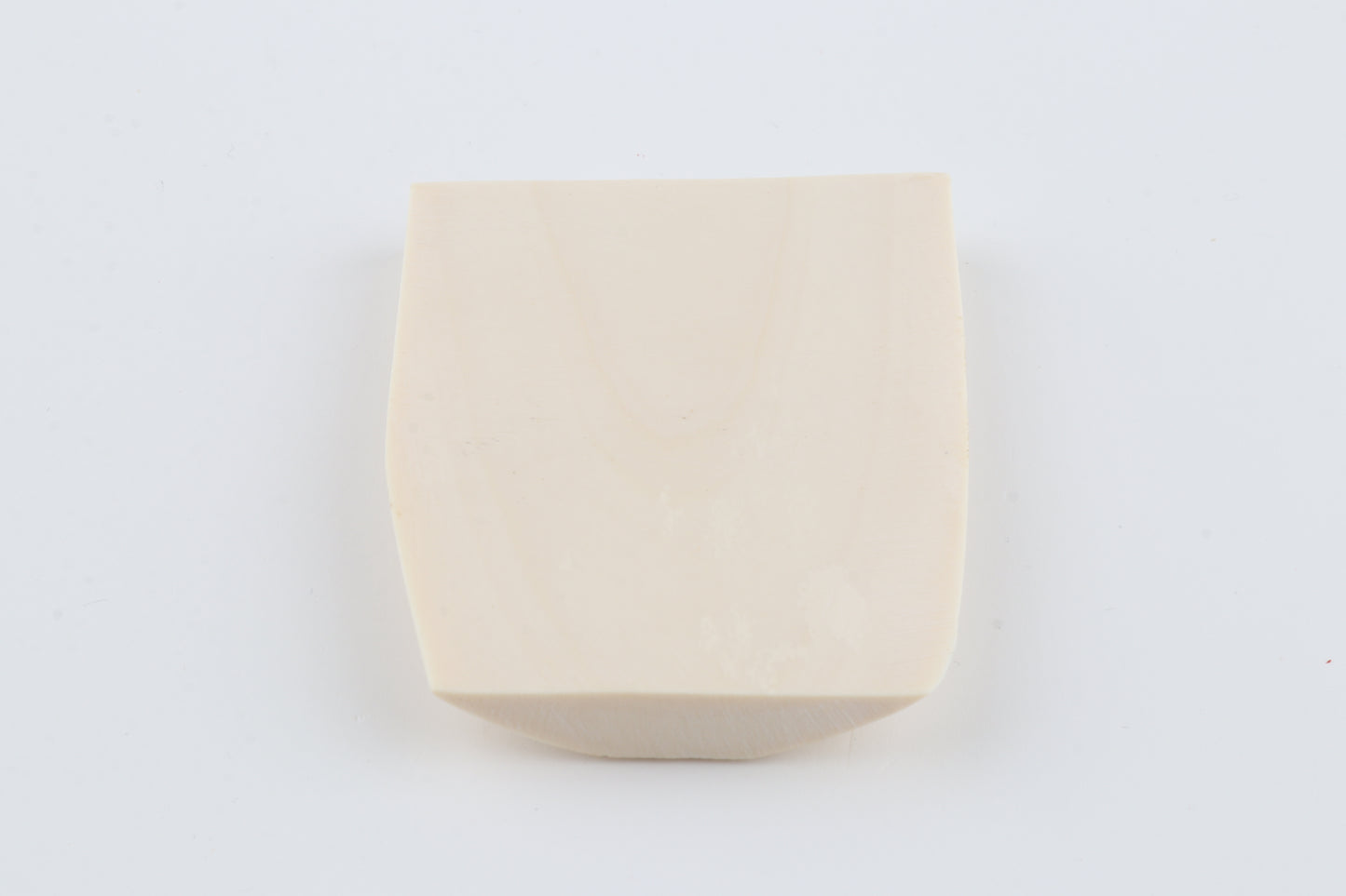 White mammoth ivory segment