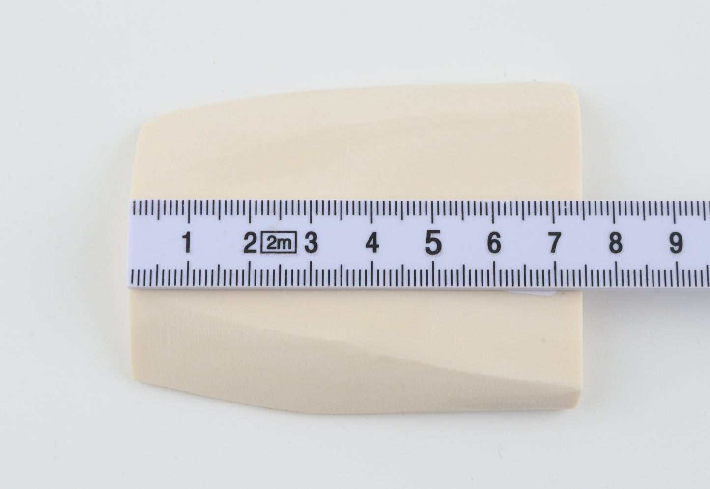 White mammoth ivory segment