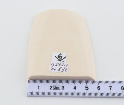 White mammoth ivory segment