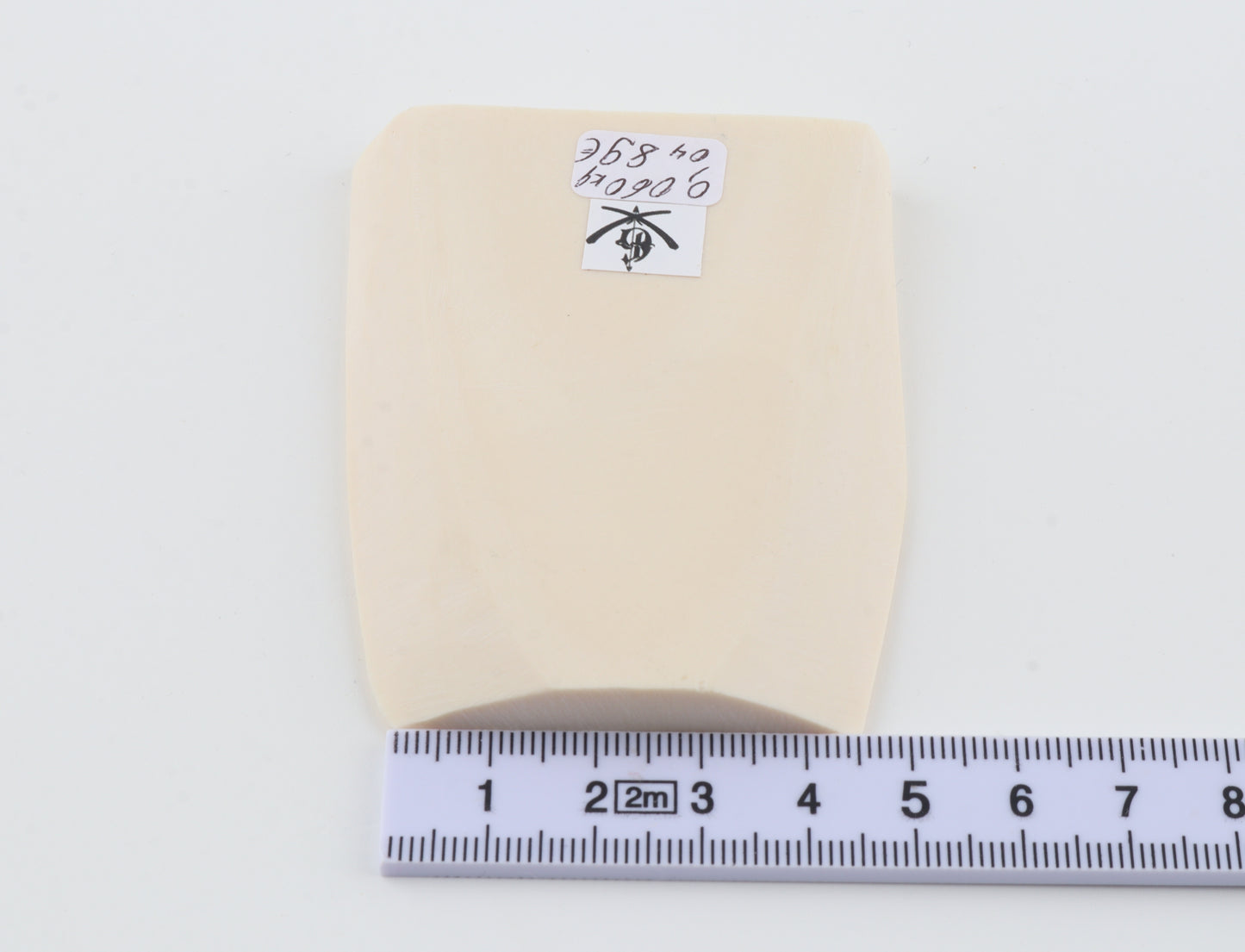 White mammoth ivory segment