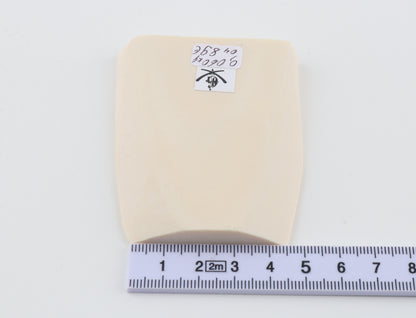 White mammoth ivory segment