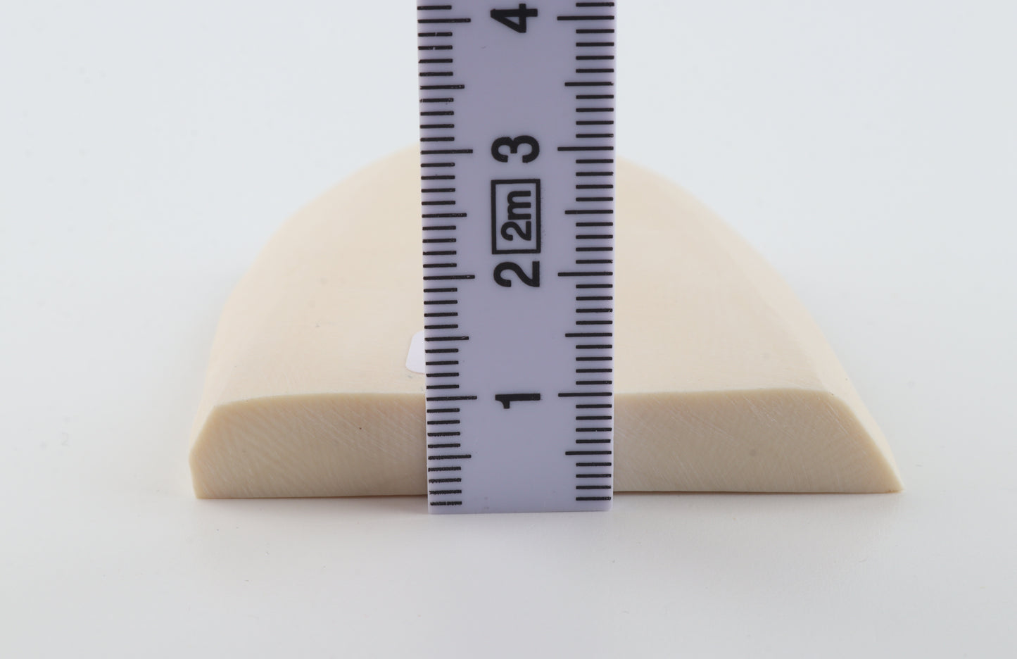 White mammoth ivory segment