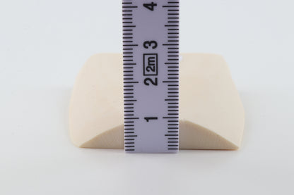 White mammoth ivory segment