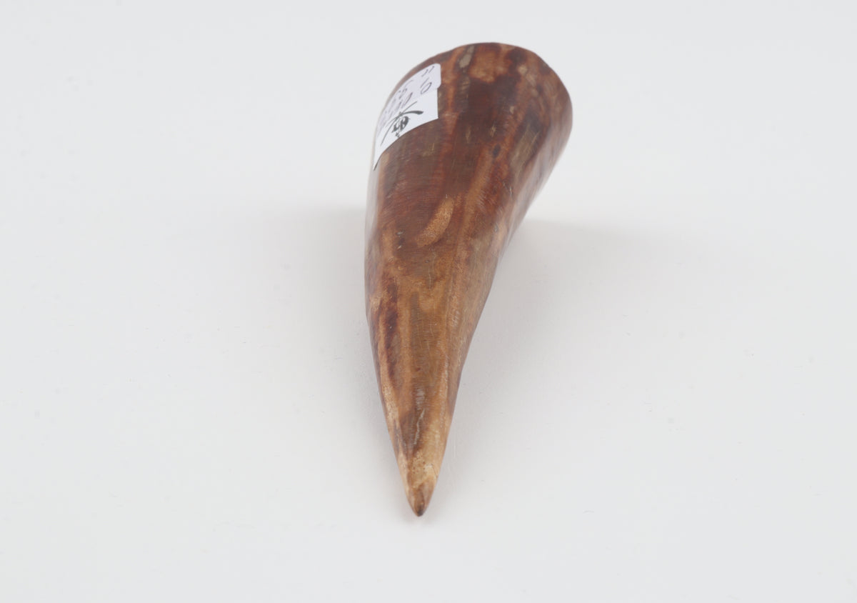 Natural mammoth tusk piece