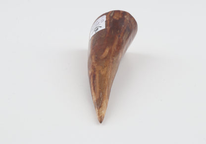 Natural mammoth tusk piece