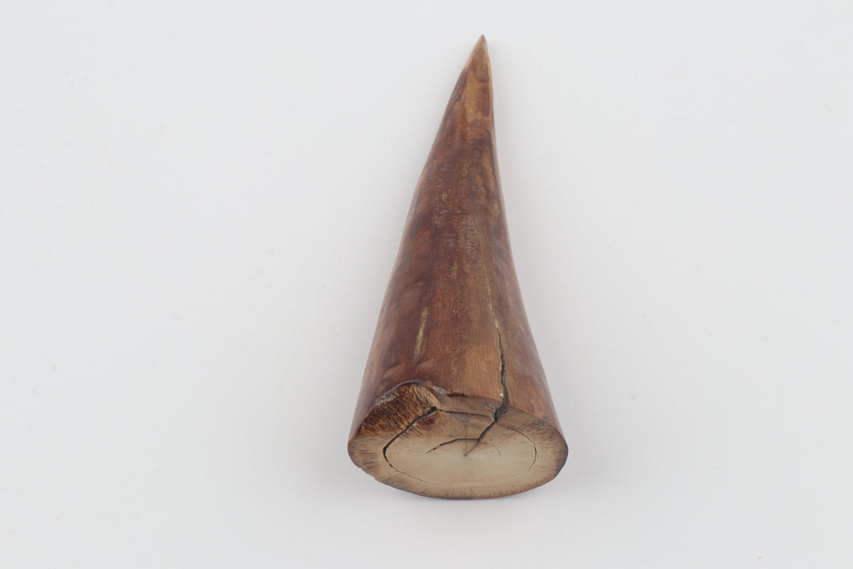 Natural mammoth tusk piece