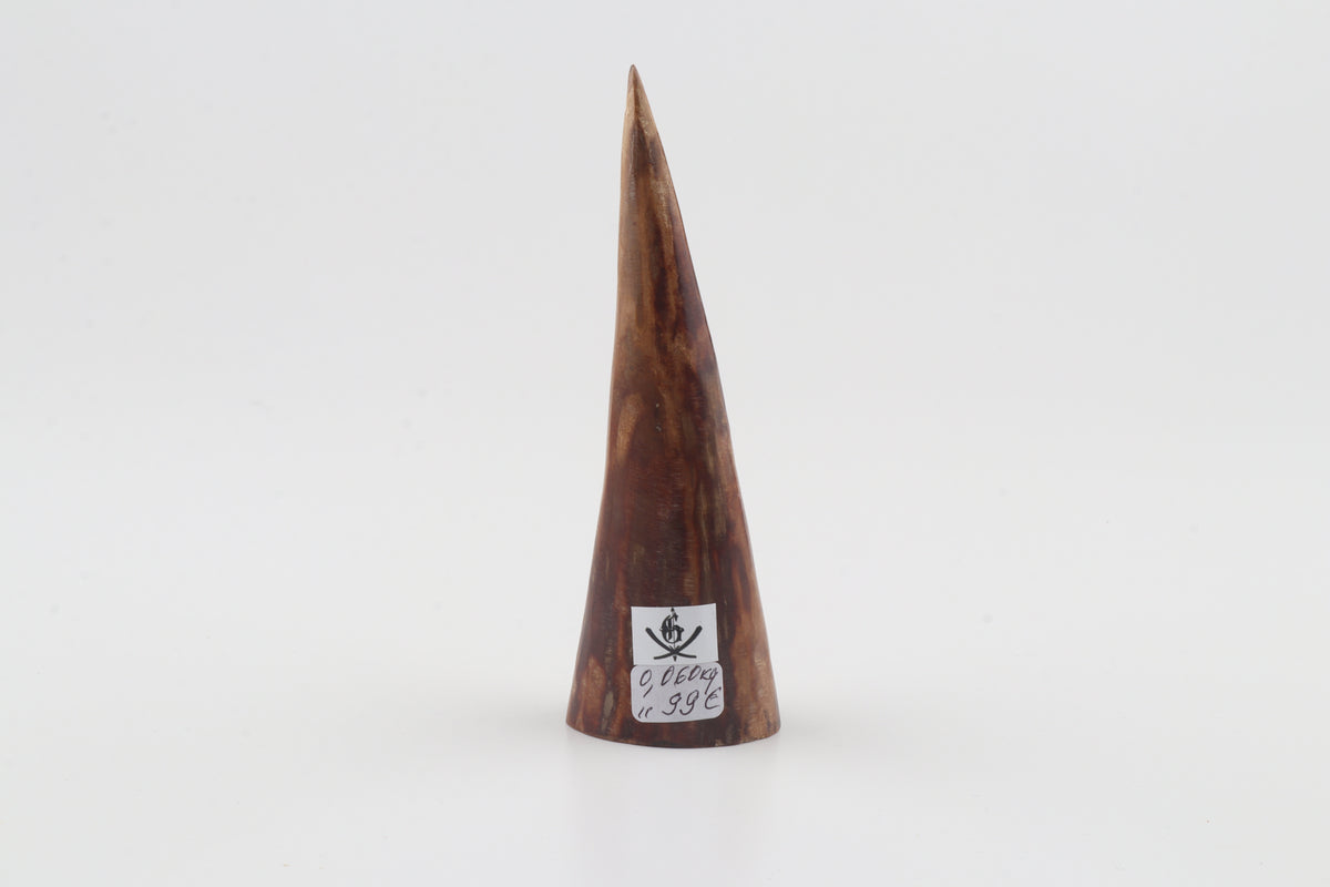 Natural mammoth tusk piece