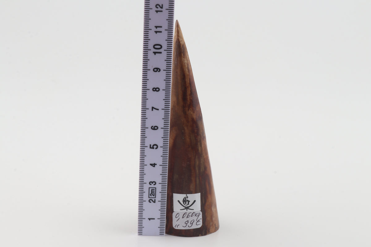 Natural mammoth tusk piece