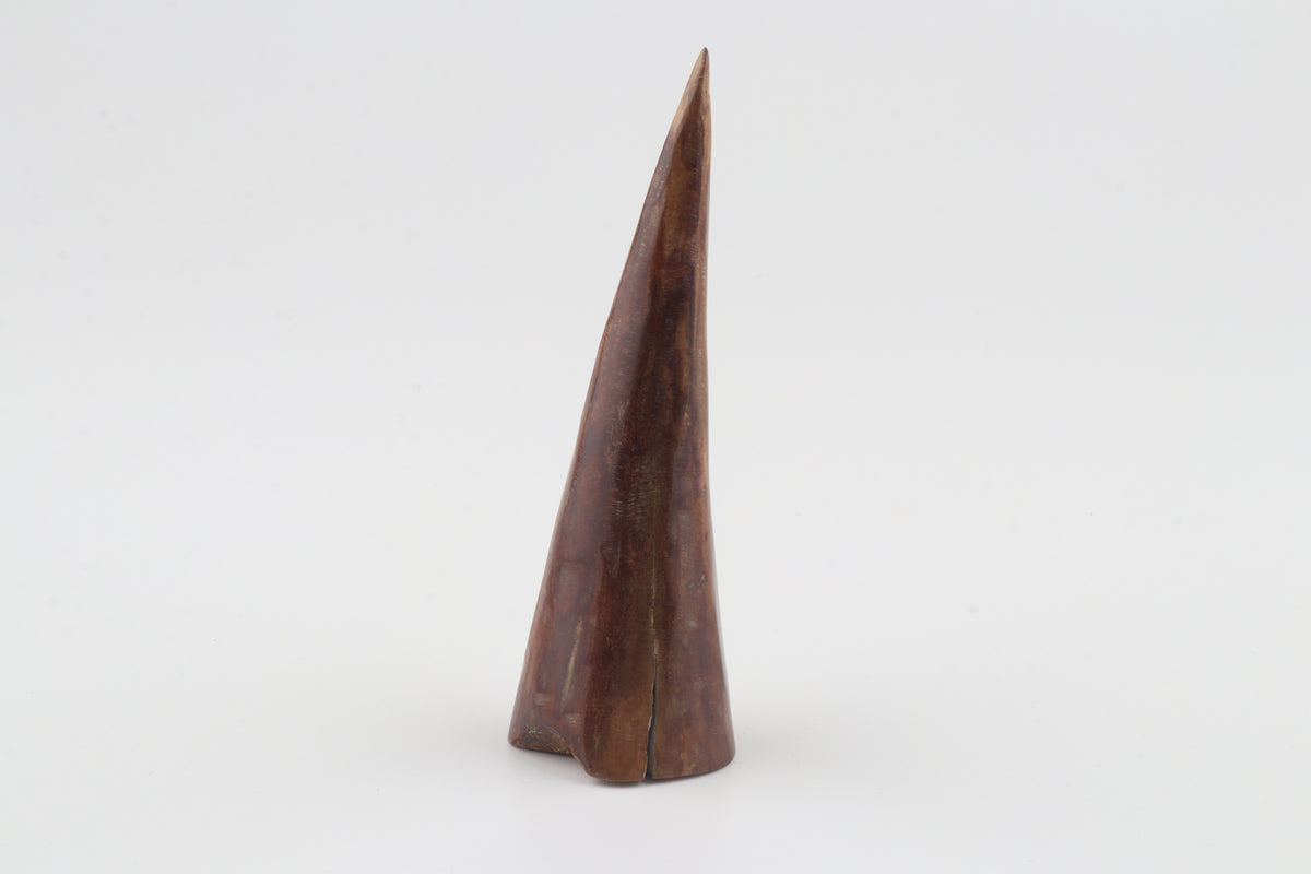 Natural mammoth tusk piece