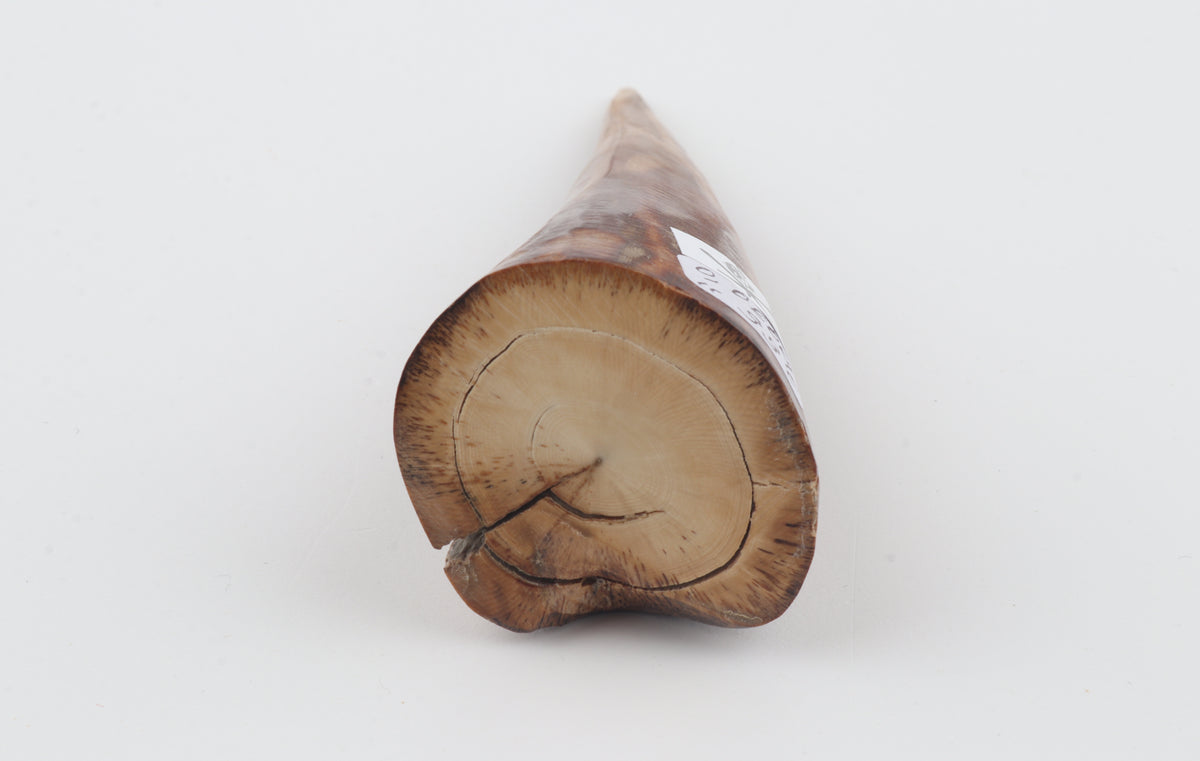 Natural mammoth tusk piece