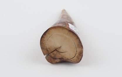 Natural mammoth tusk piece