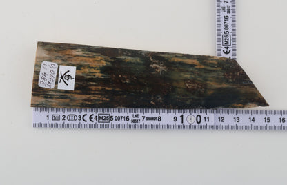 Green mammoth bark