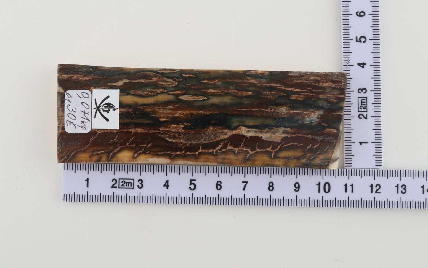 Brown-blue mammoth bark