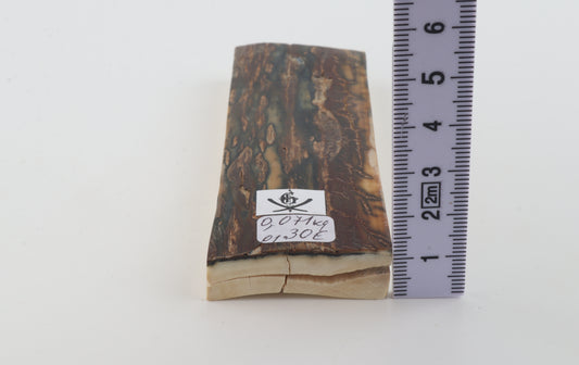 Brown-blue mammoth bark