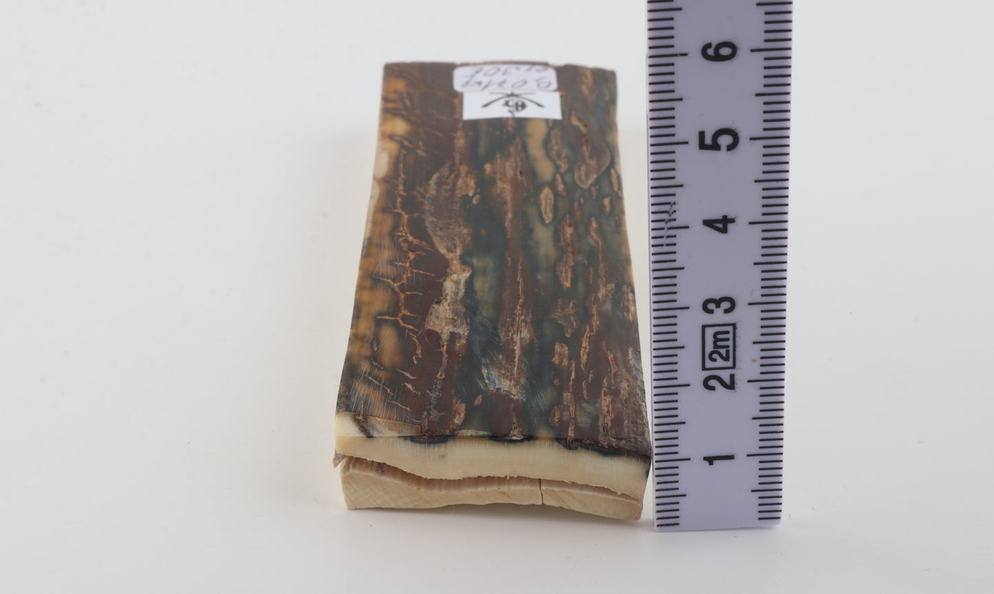 Brown-blue mammoth bark