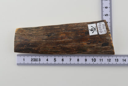 Brown mammoth bark
