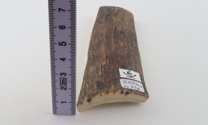 Brown mammoth bark