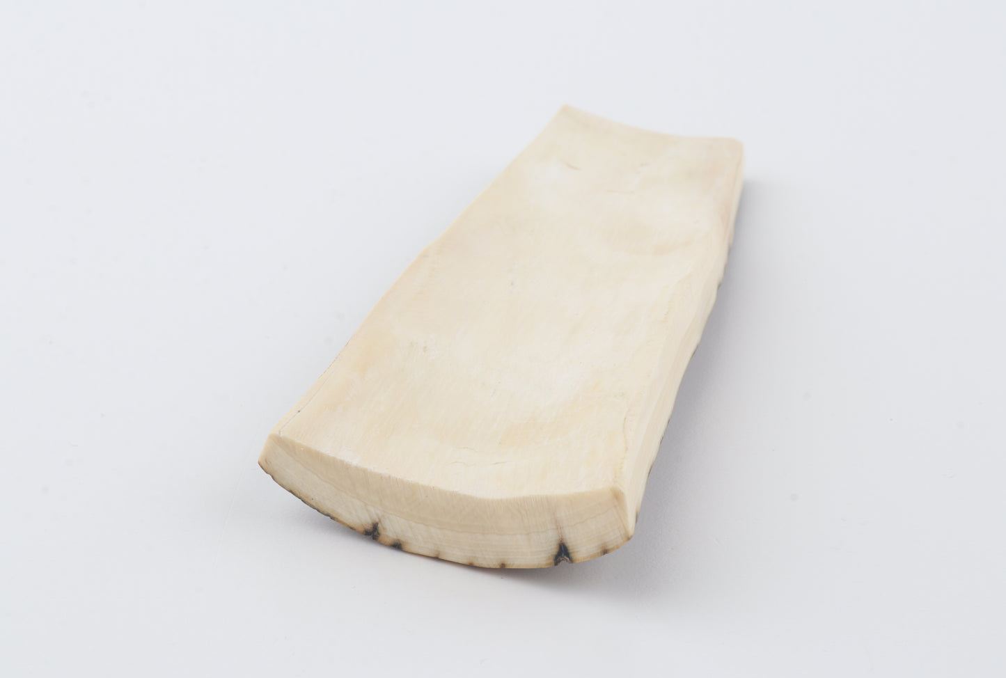Brown mammoth bark