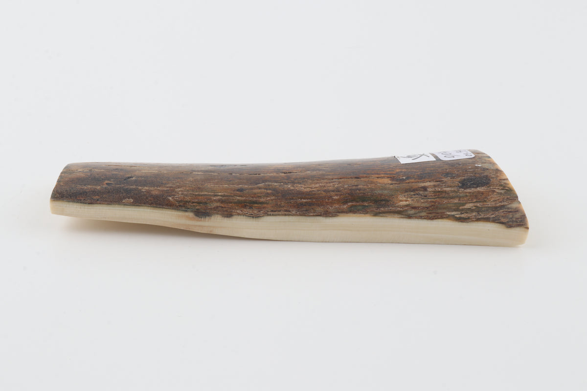 Brown mammoth bark