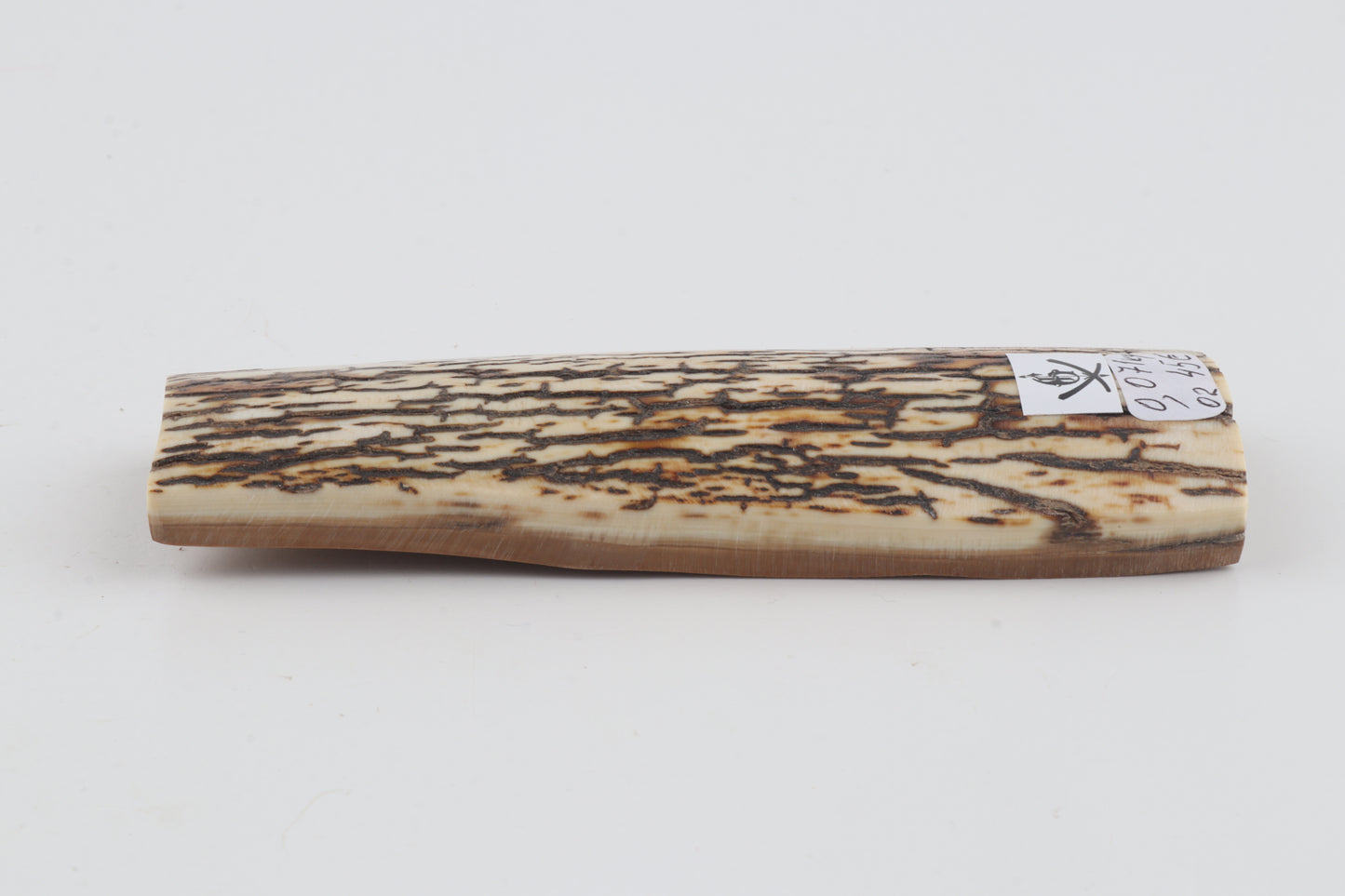 Brown-white mammoth bark