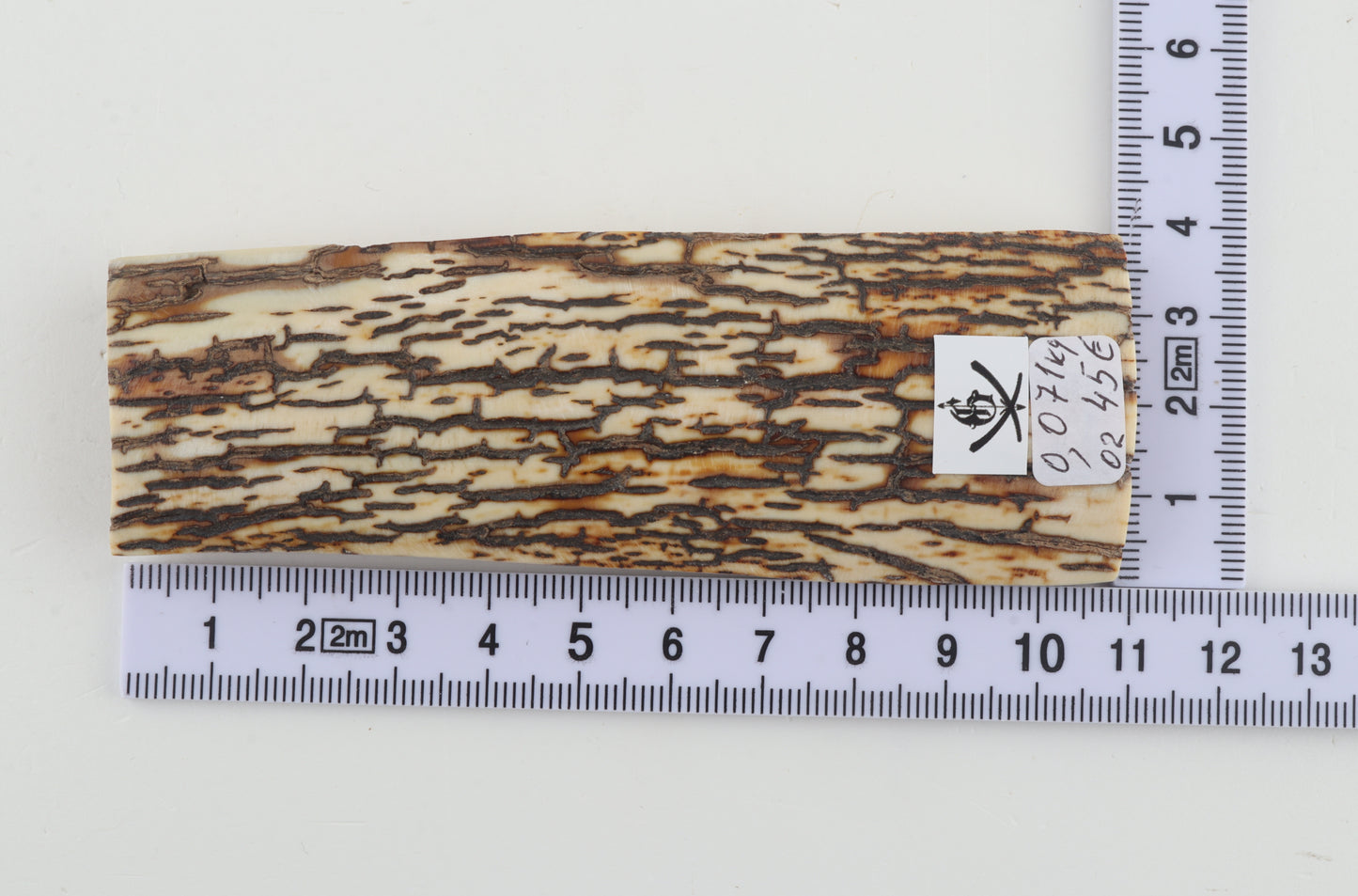 Brown-white mammoth bark