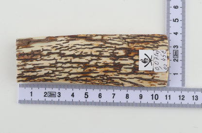 Brown-white mammoth bark