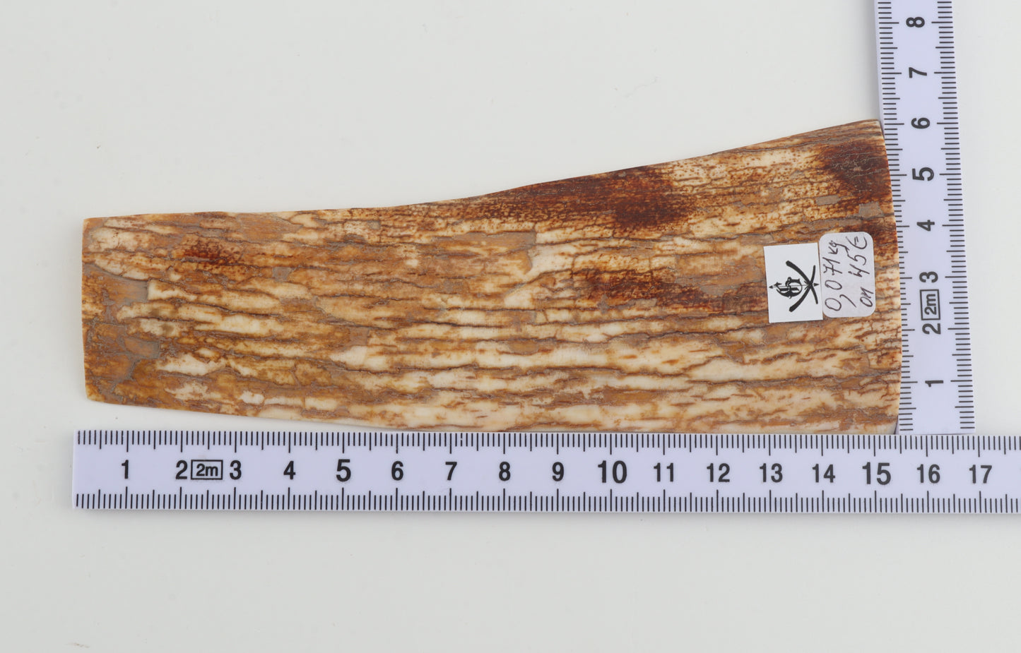 Orange-white mammoth bark