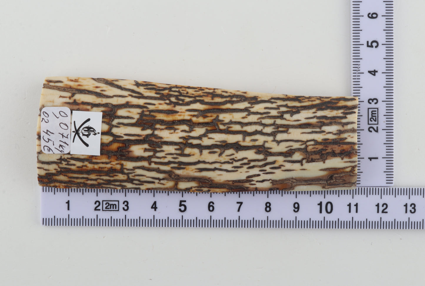 Brown-white mammoth bark