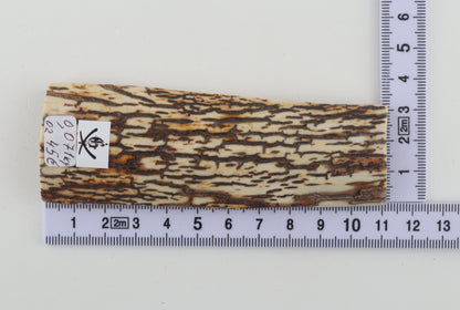 Brown-white mammoth bark