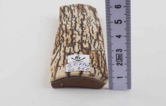 Brown-white mammoth bark