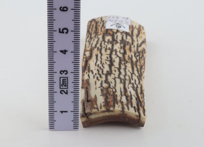 Brown-white mammoth bark