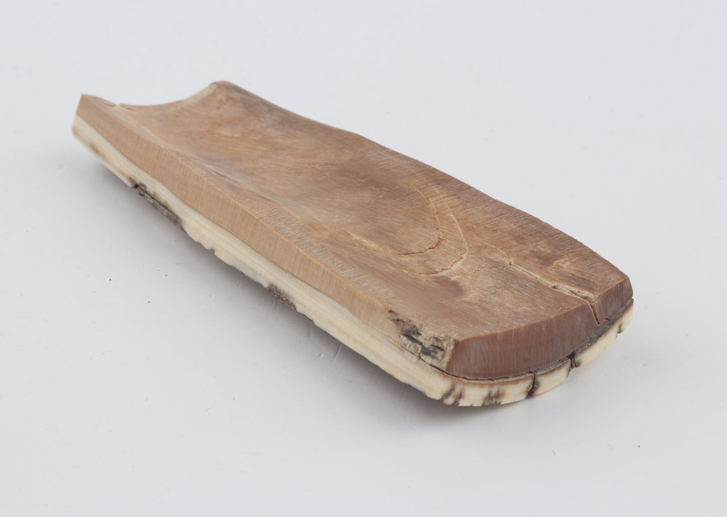 Brown-white mammoth bark