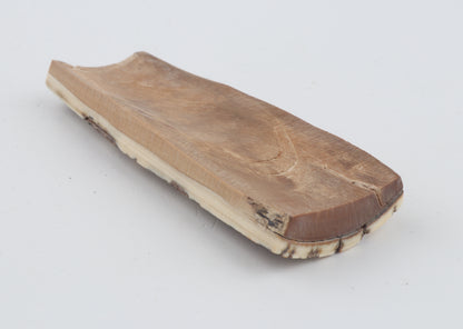Brown-white mammoth bark