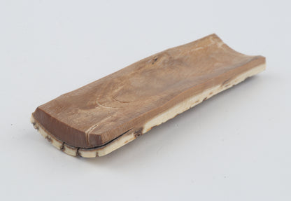 Brown-white mammoth bark