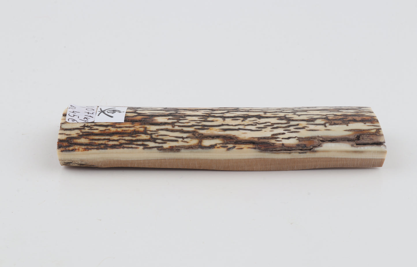 Brown-white mammoth bark