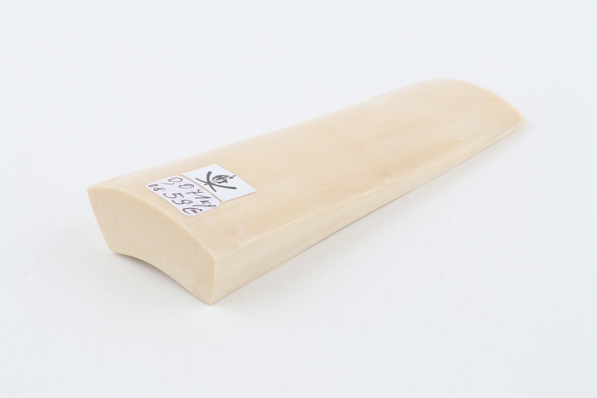White mammoth ivory segment