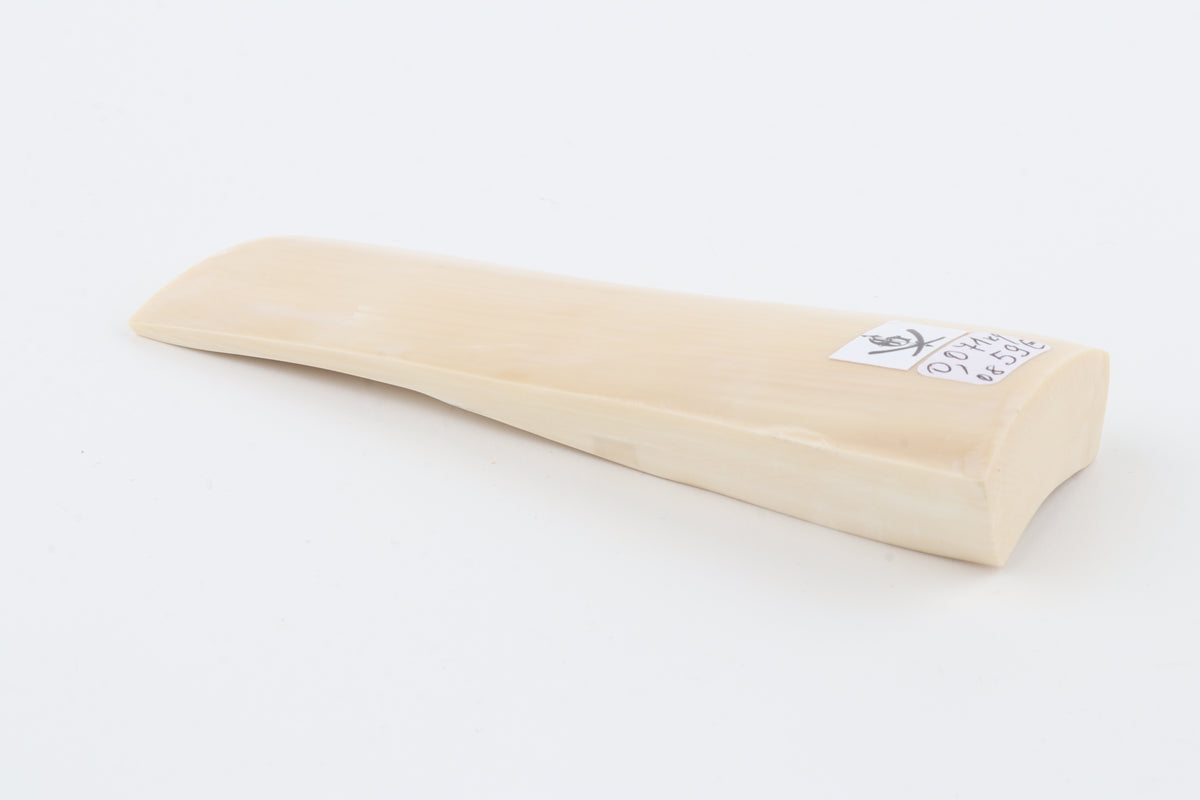 White mammoth ivory segment