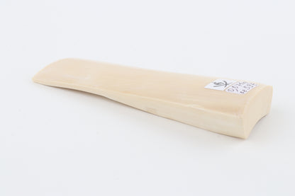 White mammoth ivory segment