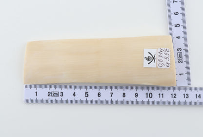 White mammoth ivory segment