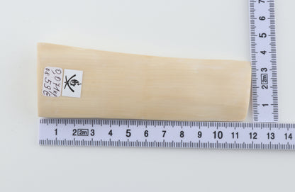 White mammoth ivory segment
