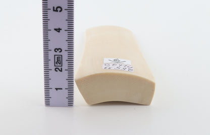 White mammoth ivory segment