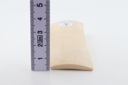White mammoth ivory segment