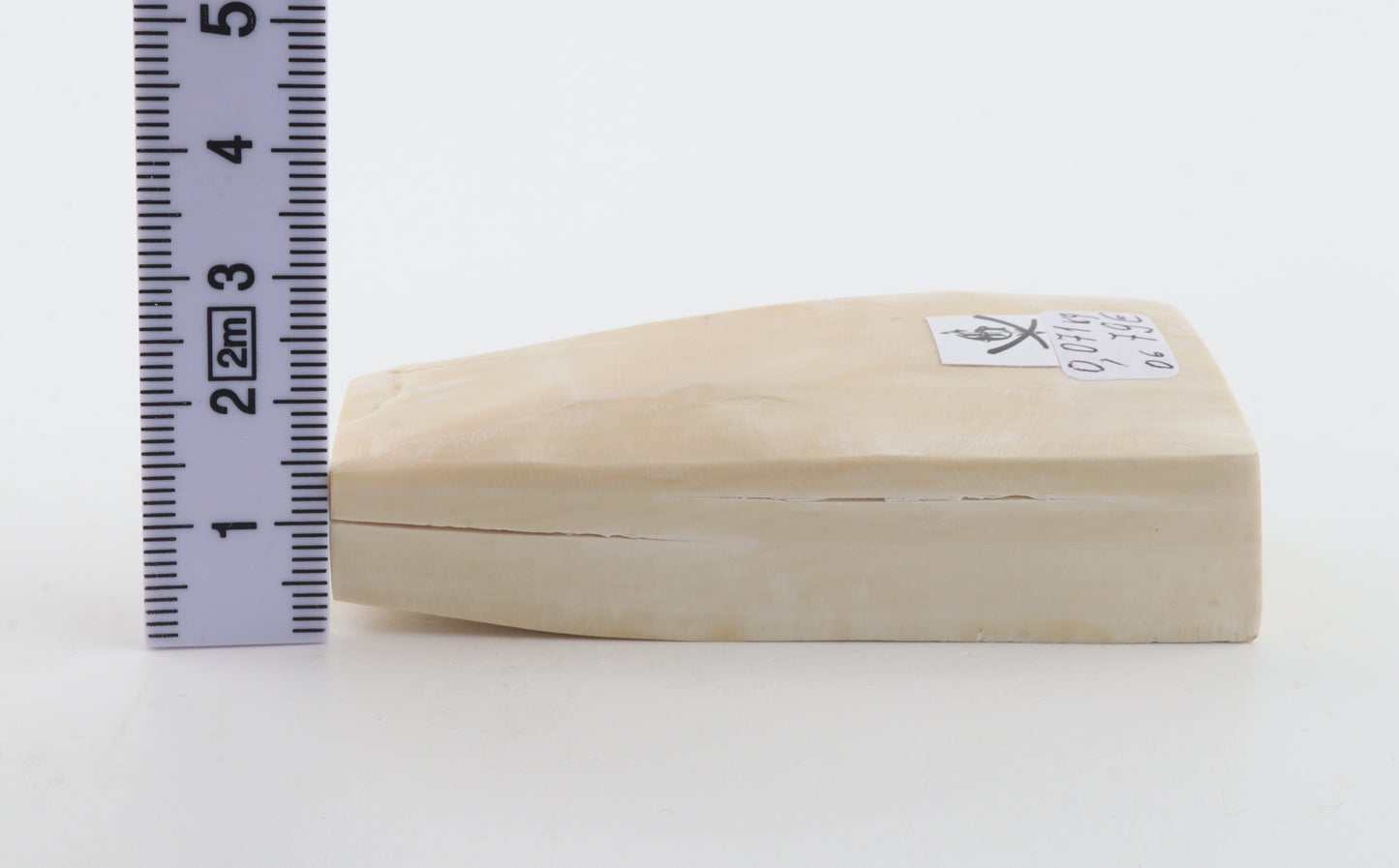 Natural mammoth ivory piece
