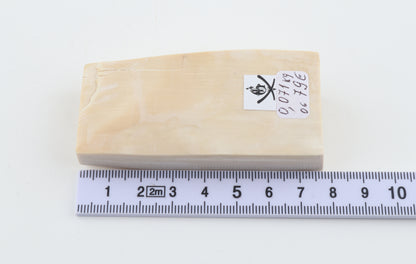 Natural mammoth ivory piece