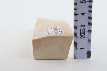 Natural mammoth ivory piece