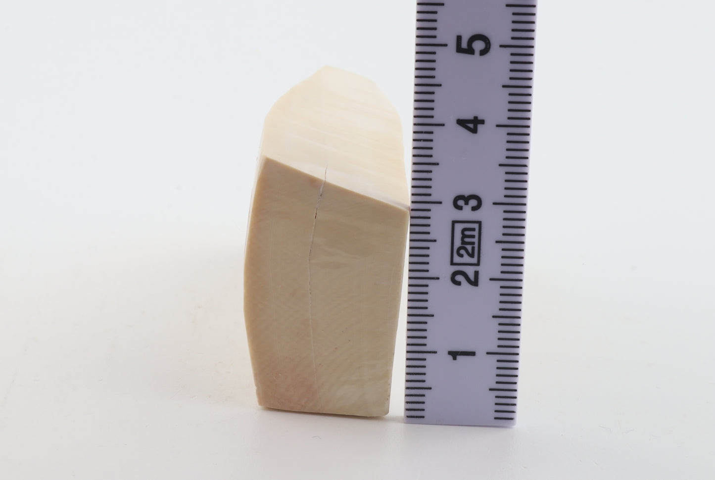 Natural mammoth ivory piece