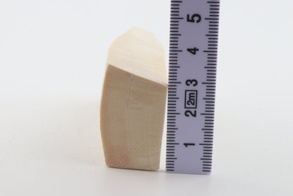 Natural mammoth ivory piece
